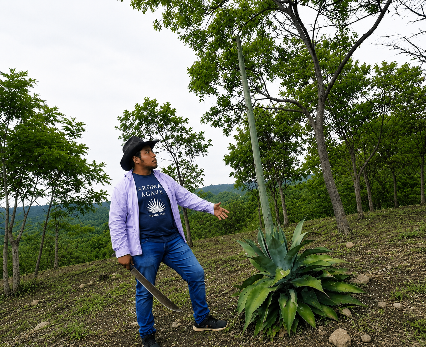 Jimador de Aroma Agave junto a un maguey Tobalá silvestre en la sierra oaxaqueña